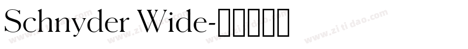 Schnyder Wide字体转换